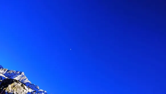 Казино Бет Рокер Поддръжка